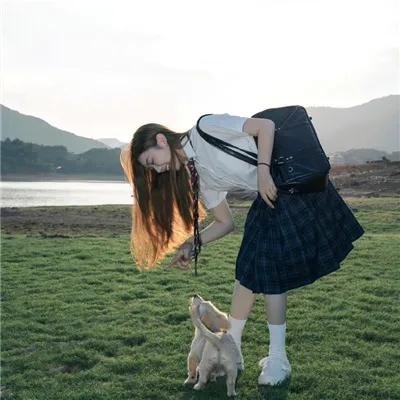 爱莉思的情书